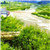 王艳豪
